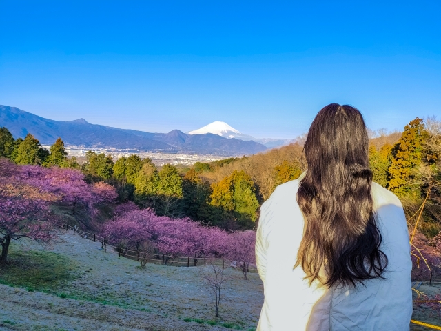 気付いたこと